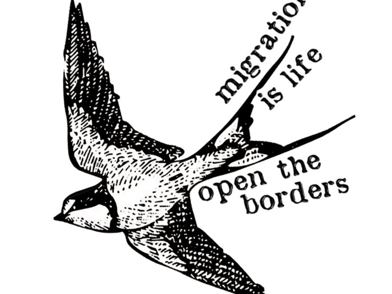 Migration is Life, Open the Borders
